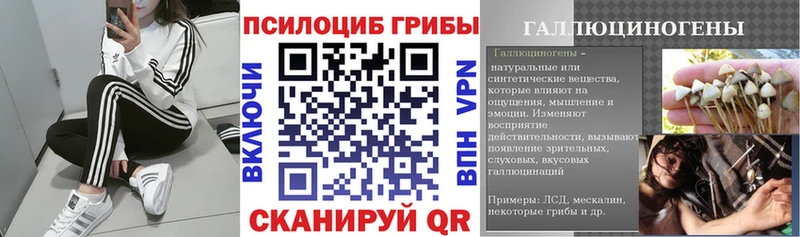 Купить  Котельниково  Псилоцибиновые грибы Cubensis 